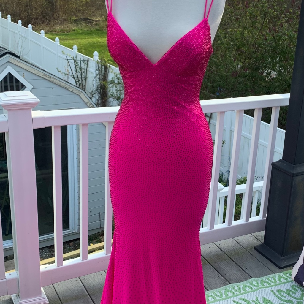 Sherry Hill Prom Gown
